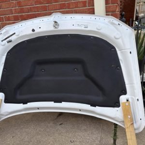 2019 ram 1500 hood
